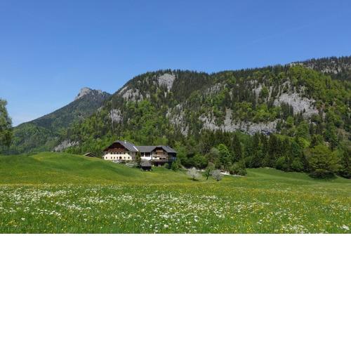 Urlauben im Grünen