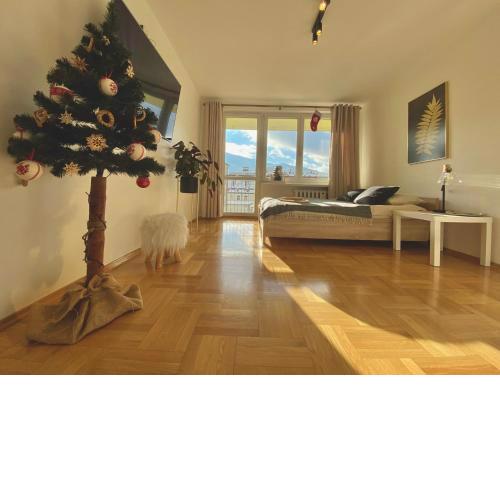 Uroczy Apartament 50 metrów od Krupówek, 2 osobne sypialnie