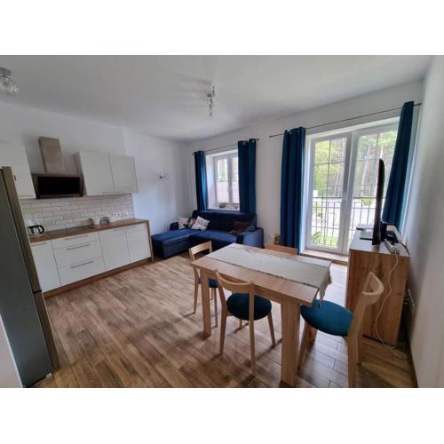 Uroczy apartament blisko jeziora