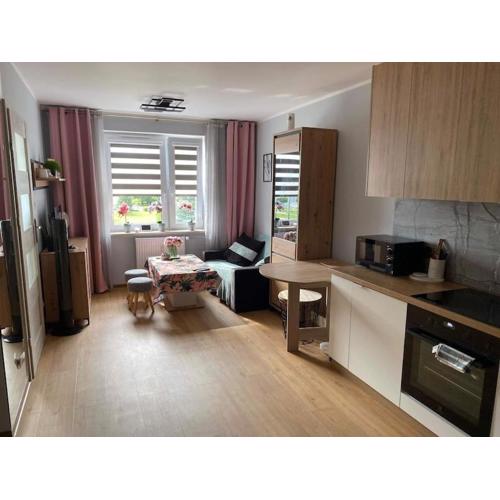 Uroczy apartament blisko Zalewu-Lublin