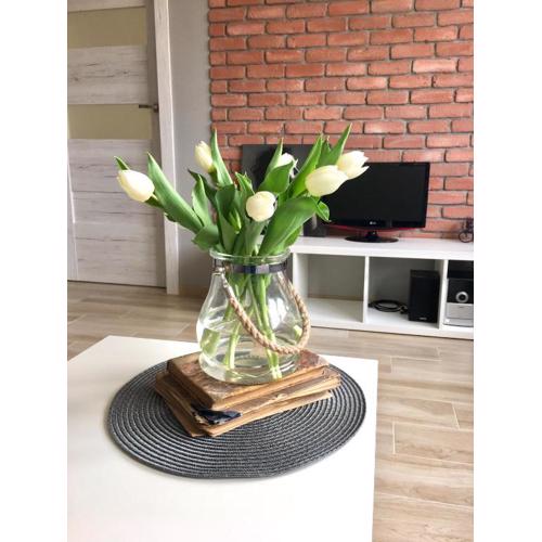Uroczy apartament w Giżycku