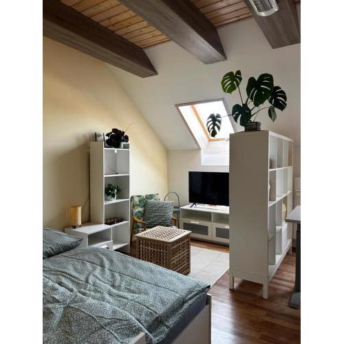 Útulný apartmán v centre Kežmarku