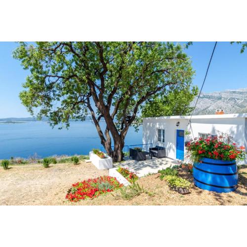 Vacation Home Deja Blue