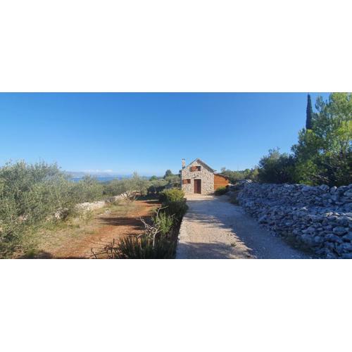 Vacation Home Friday