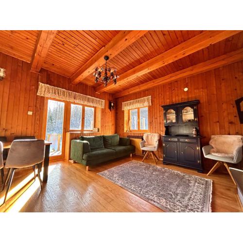 Vacation house Polane