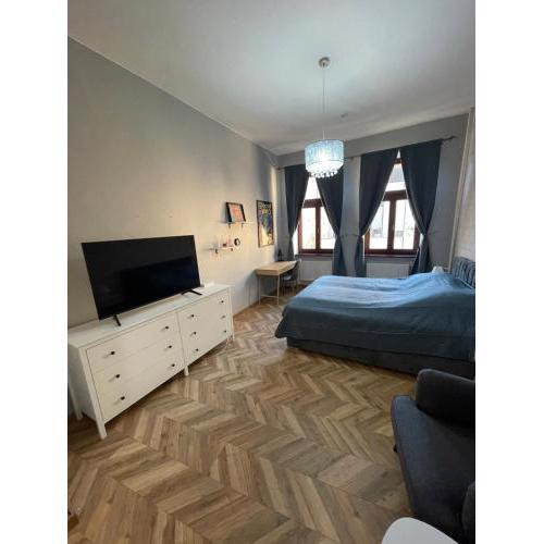 Varady's apartment with private parking