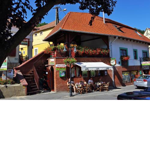 Vaskó Panzió Borpince