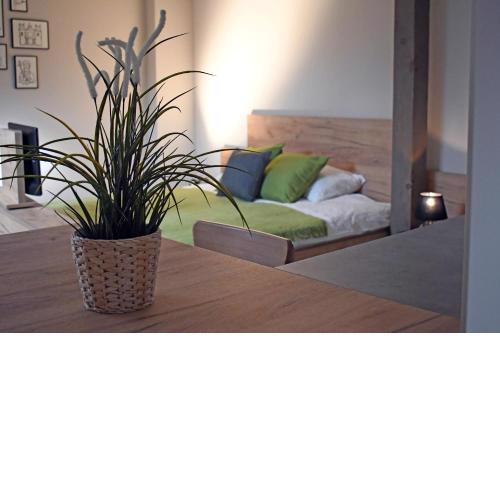 VATUS Apartmanház Vác