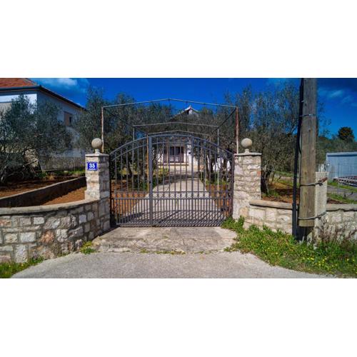 Vecchia oliva,Kuljica