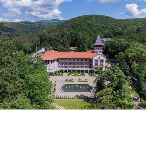 Verkhovyna Resort Medical & Wellness