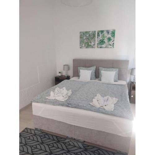 Veronika Rooms