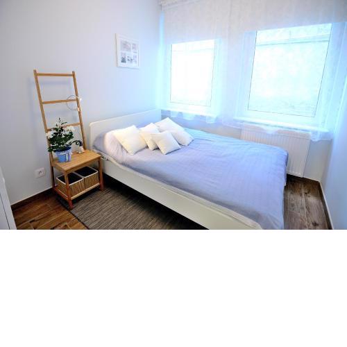 Victus Apartamenty, Apartament Askja