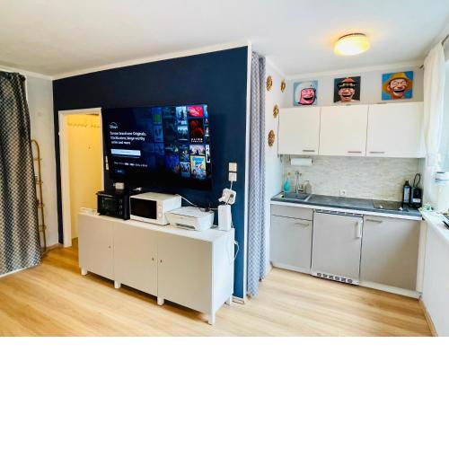 Vienna Business-Apartment 1-6 months