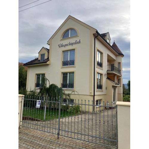 Vila pri kúpeľoch