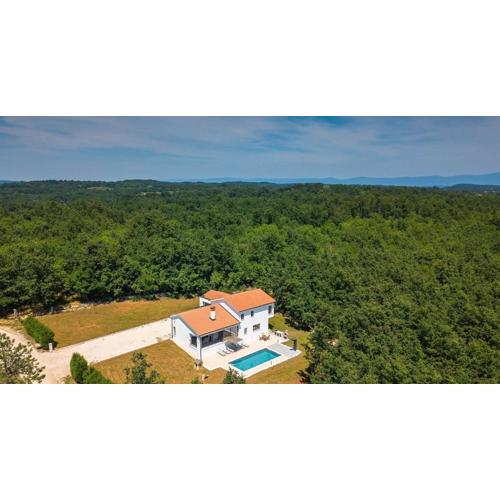 Vila Prisunca jacuzzi & swimming pool