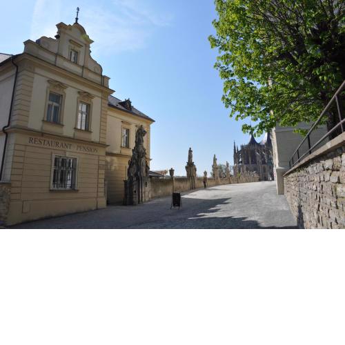 Vila U Varhanáře