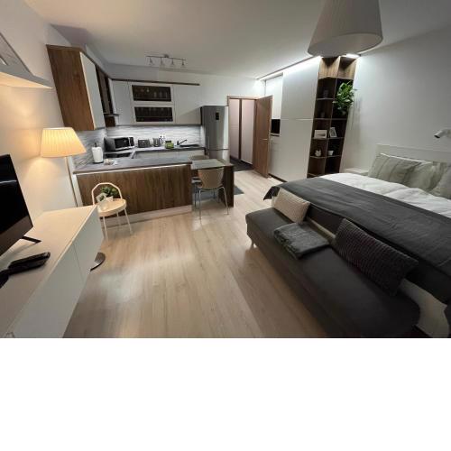 ViLeo50 Apartment