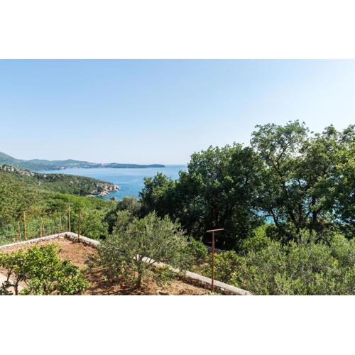 Villa Barbara