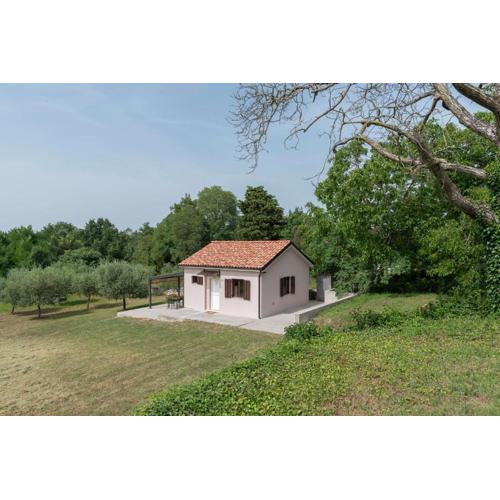 VILLA CELESTINA, Majkusi