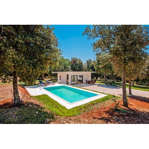 Villa David