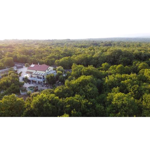 Villa Diego