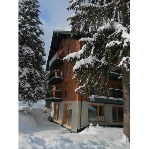 Villa Erdődy Resort - Apartmán U veveričky
