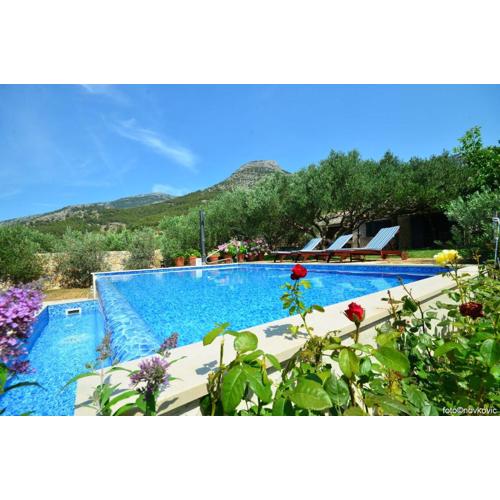 Villa FANI KANUN