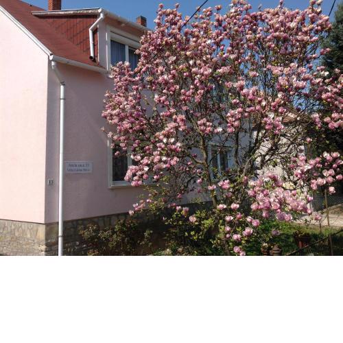 Villa Galina Hévíz