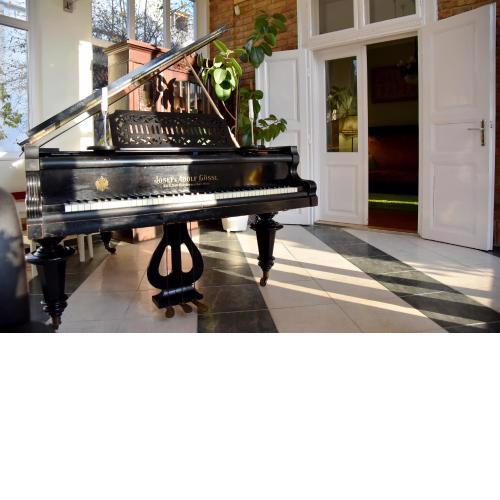 VILLA GIULIETTA BUDAPEST with GARDEN, FREE PARKING