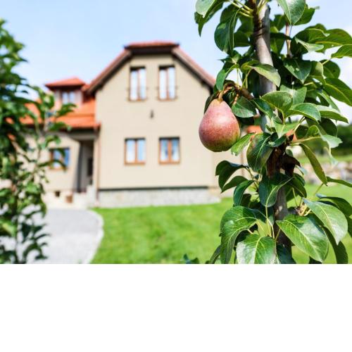 Villa in Bohemia with garden