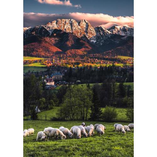 Villa jumper widok na całe Tatry łazienka nie jest w pokoju