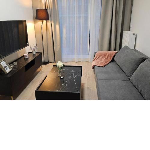 Villa Neptun Apartament nad morzem Gdańsk Wyspa Sobieszewska