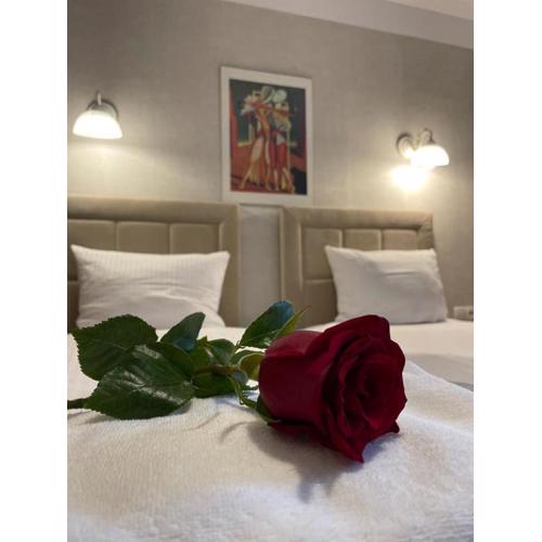 Villa Regina - Spokojna okolica - 100 metrów od lasu - blisko szpitala