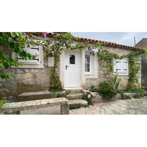 Villa rustica bougainvillea