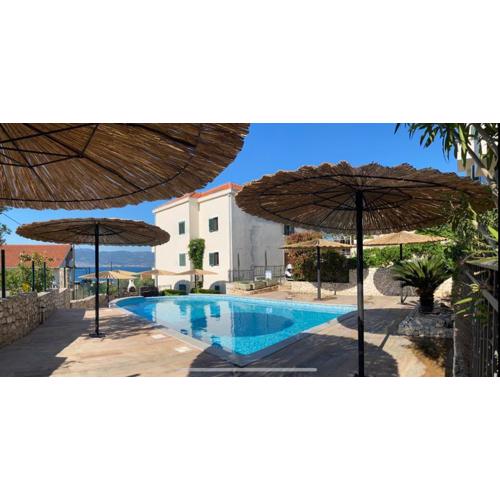 Villa Salena with pool Slatine
