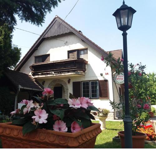 Villa Suzy