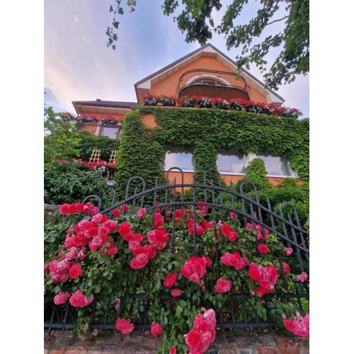 Villa Victoria