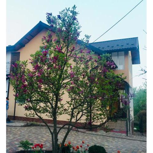 Villa Yaryna