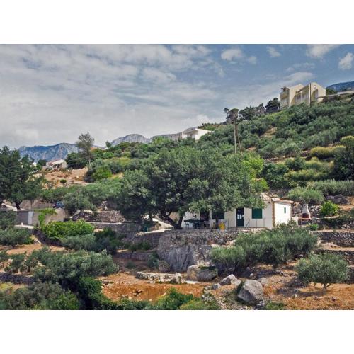 Villa \