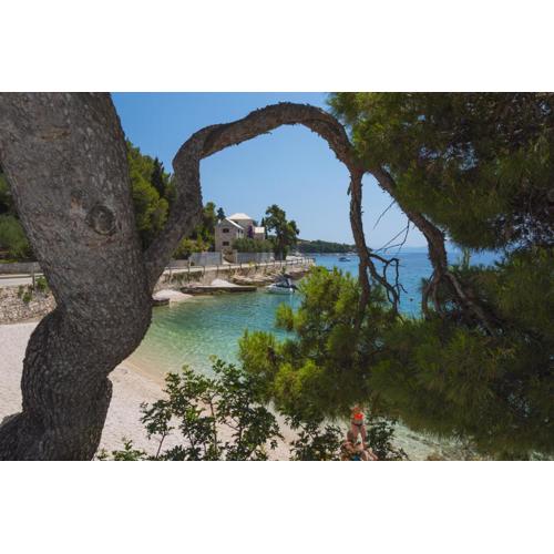 Villae Dalmaticae - Plava