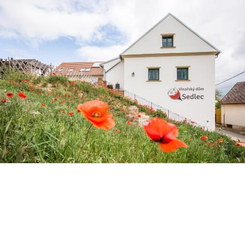 Vinařský dům Sedlec