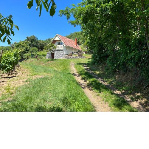 Vine Cottage