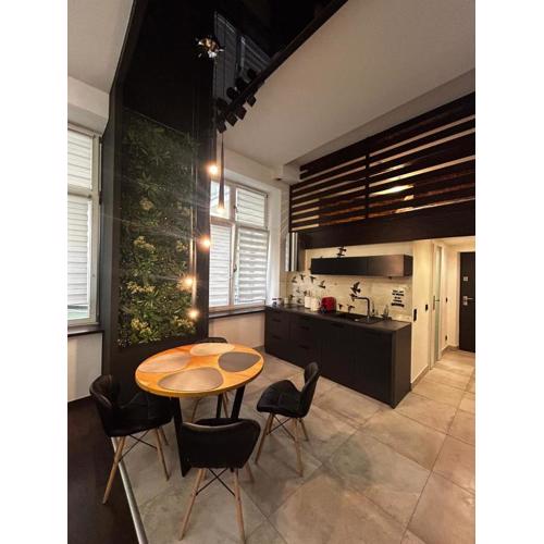 Vintage Bracka Loft Apartment