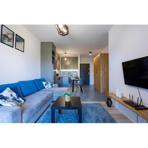 Vip Apartament Wieniawskiego