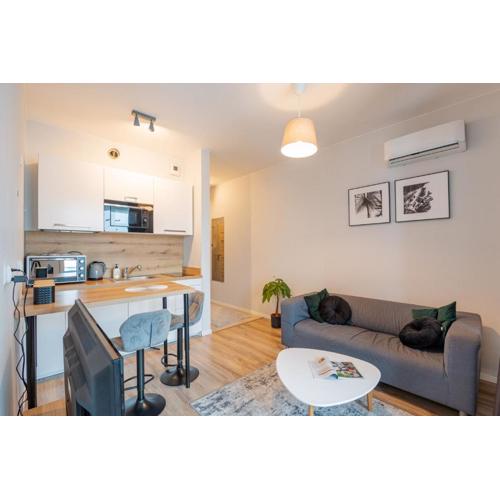 Vip Apartamenty Hetmańska