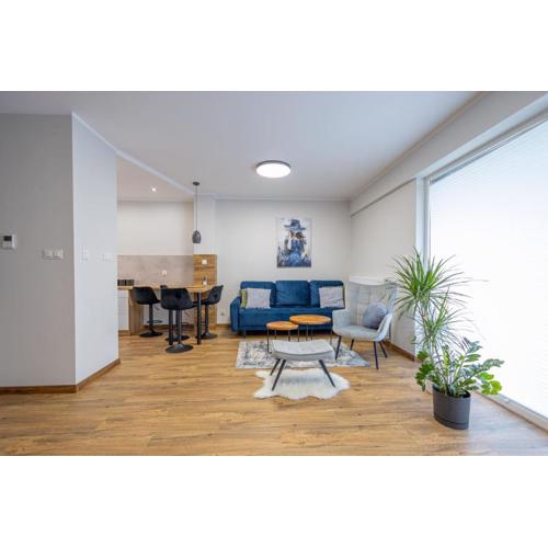 VIP Apartamenty Wieniawskiego