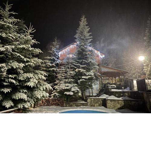 VIP HOUSES Карпати Мигово