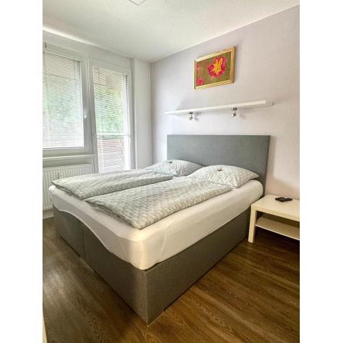 Všemina apartmán 31
