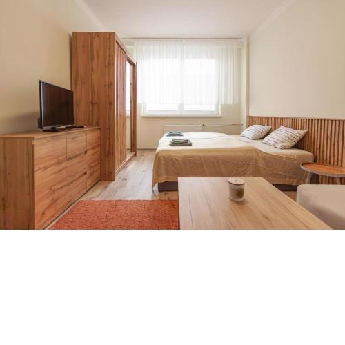 Vysoká Apartman EMF/STP
