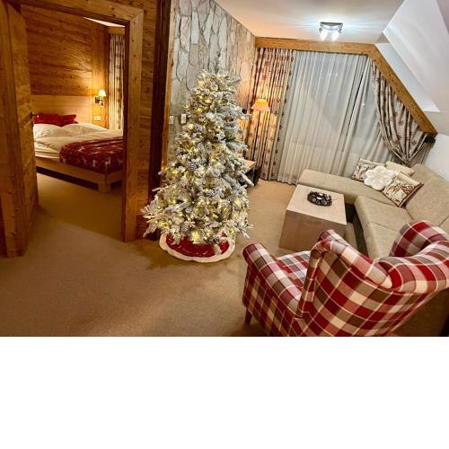 Vysoké Tatry apartmán 310 Tatranská Lomnica - s balkónom - výhľad na Tatry